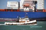 ID 3711 WAINUI, an Auckland-based tug operated by McCallum Brothers Ltd, seen inbound to her home port passing close by the outbound container ship MAERSK DEXTER.
